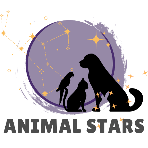 Animal Stars